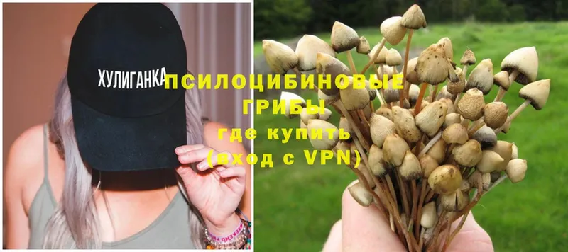 Псилоцибиновые грибы Magic Shrooms  Бронницы 